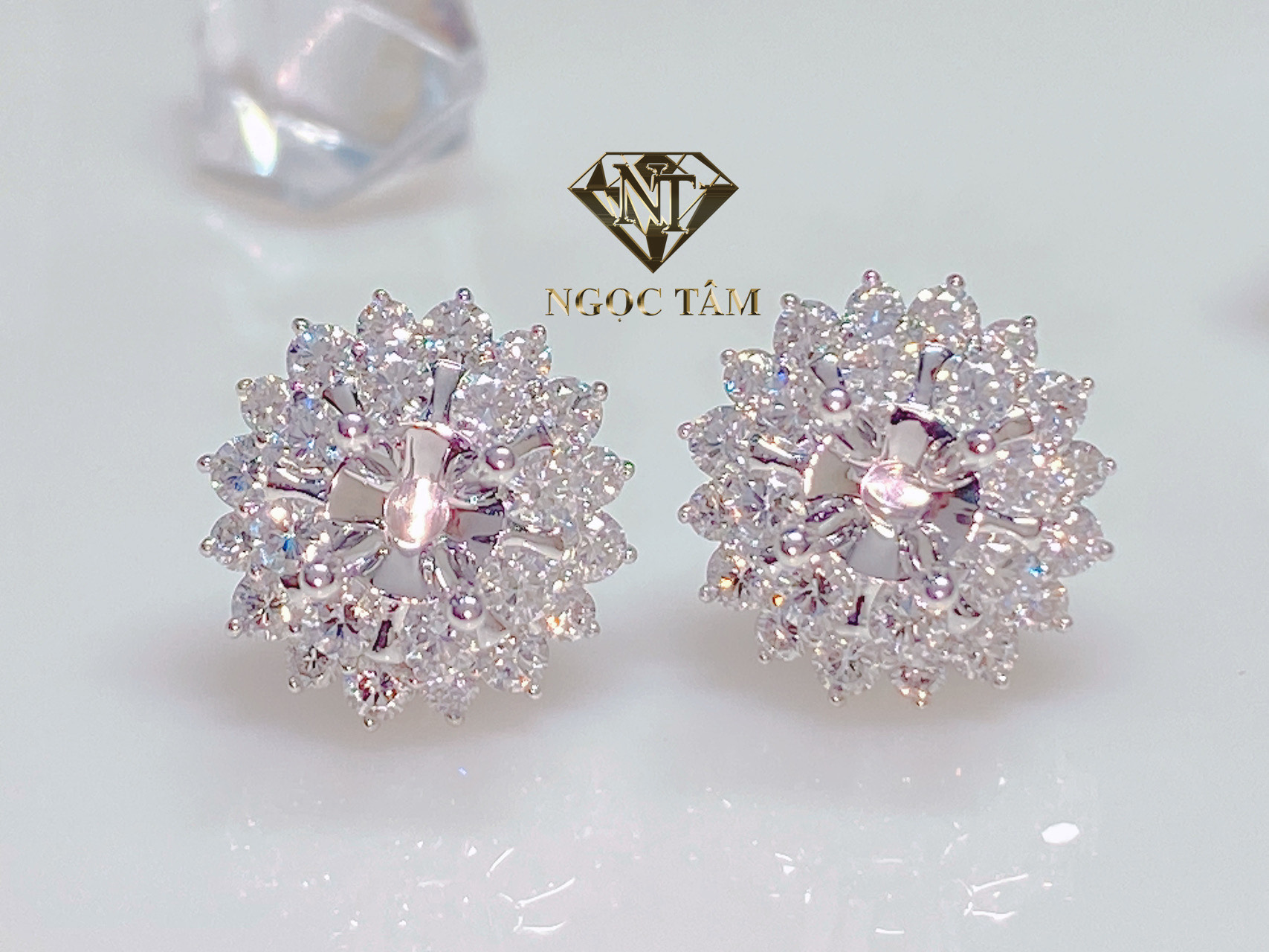 Bông tai xoàn - VB03762