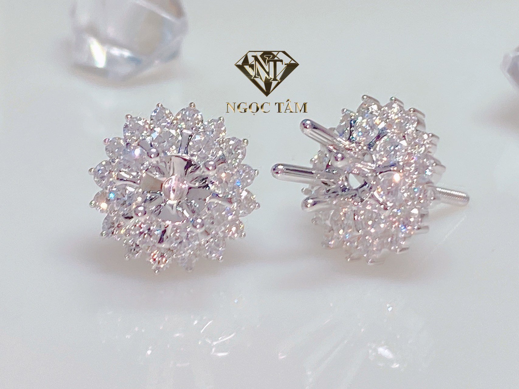 Bông tai xoàn - VB03762